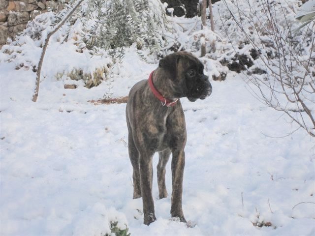 Grendy du Mas aux Albizzias