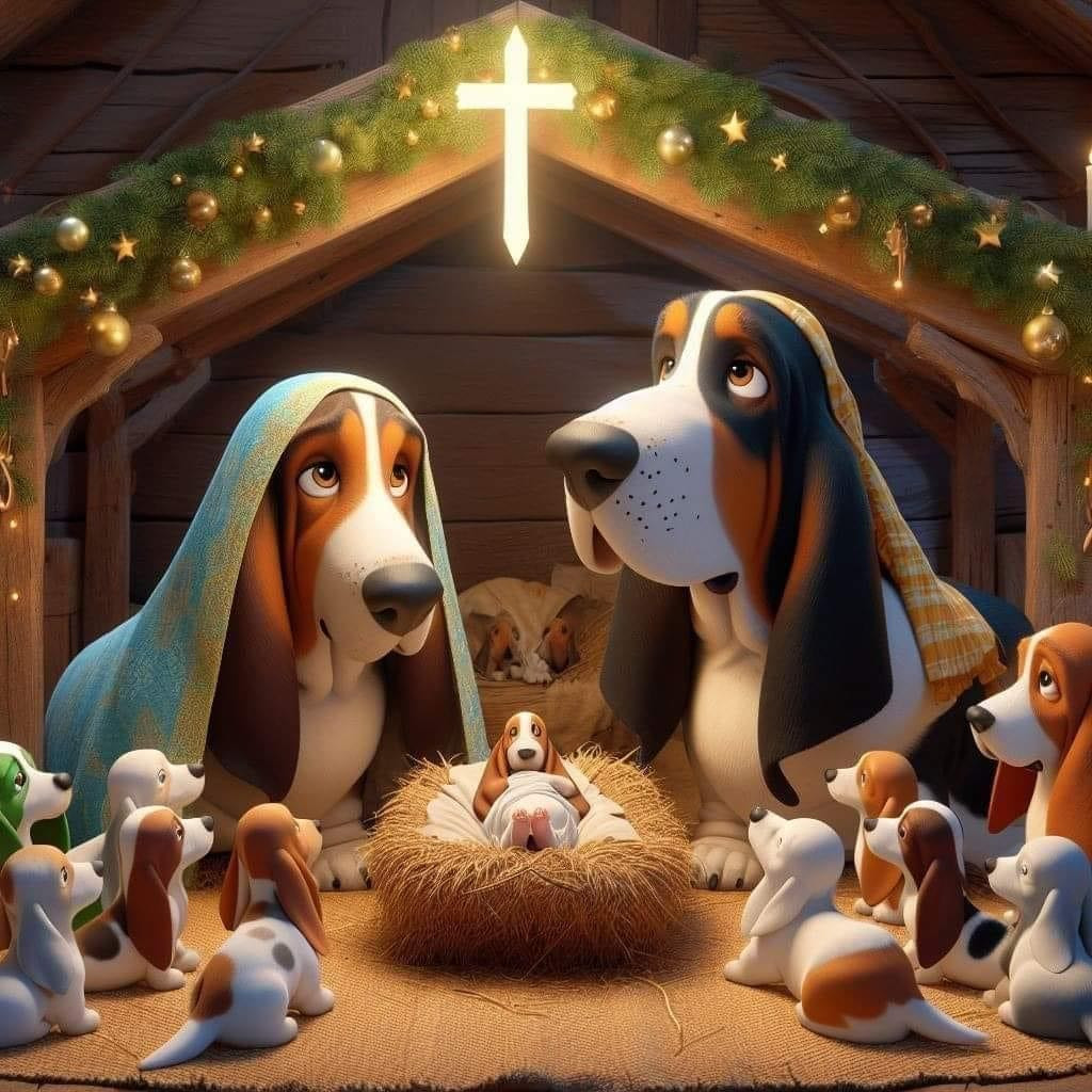 du Mas aux Albizzias - C'EST NOEL !