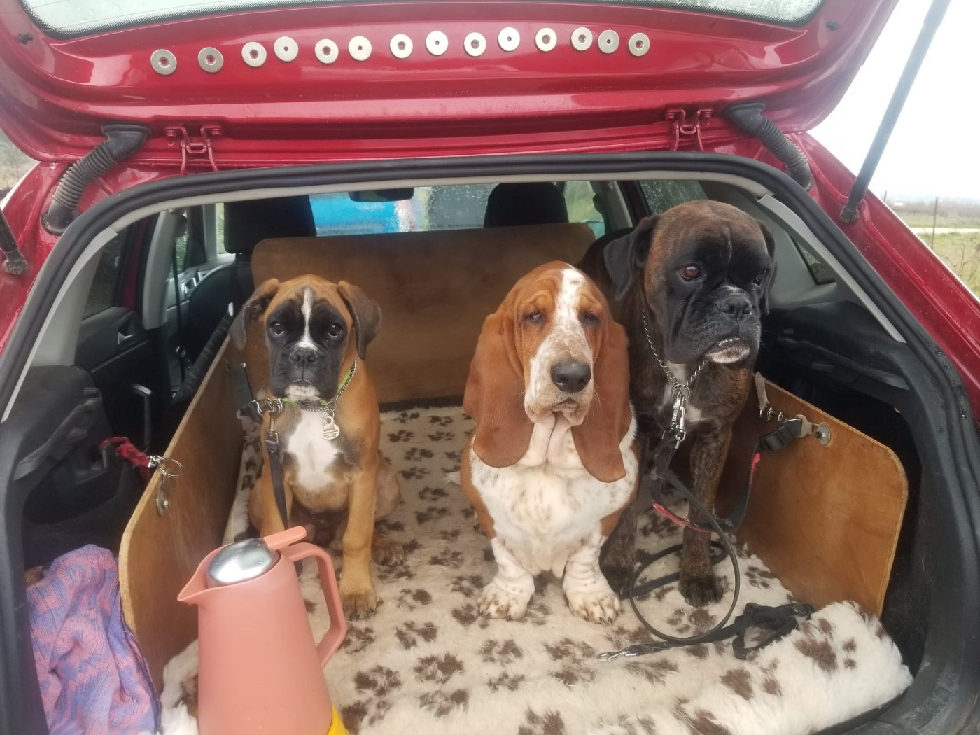 ENTRAINEMENT PISTAGE