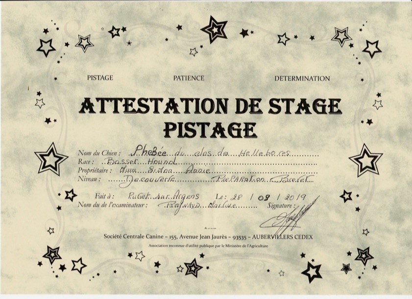 du Mas aux Albizzias - STAGE PISTAGE